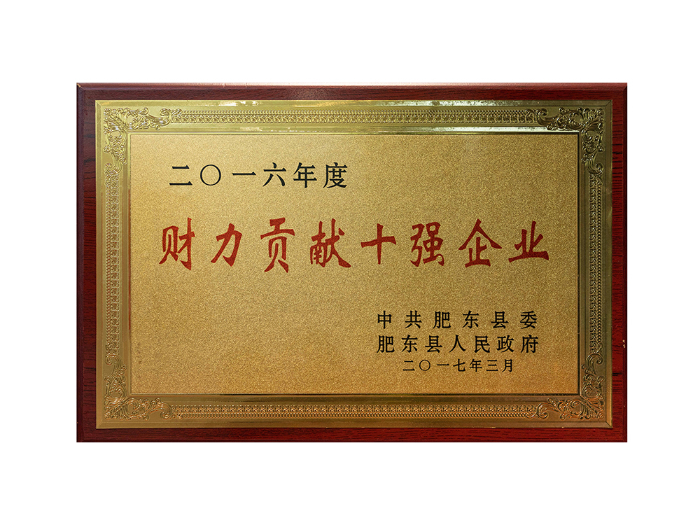 2016年度財力貢獻十強企業(yè)