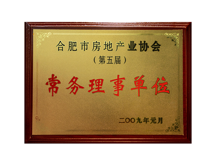 合肥市房地產(chǎn)業(yè)協(xié)會(第五屆) 常務(wù)理事單位