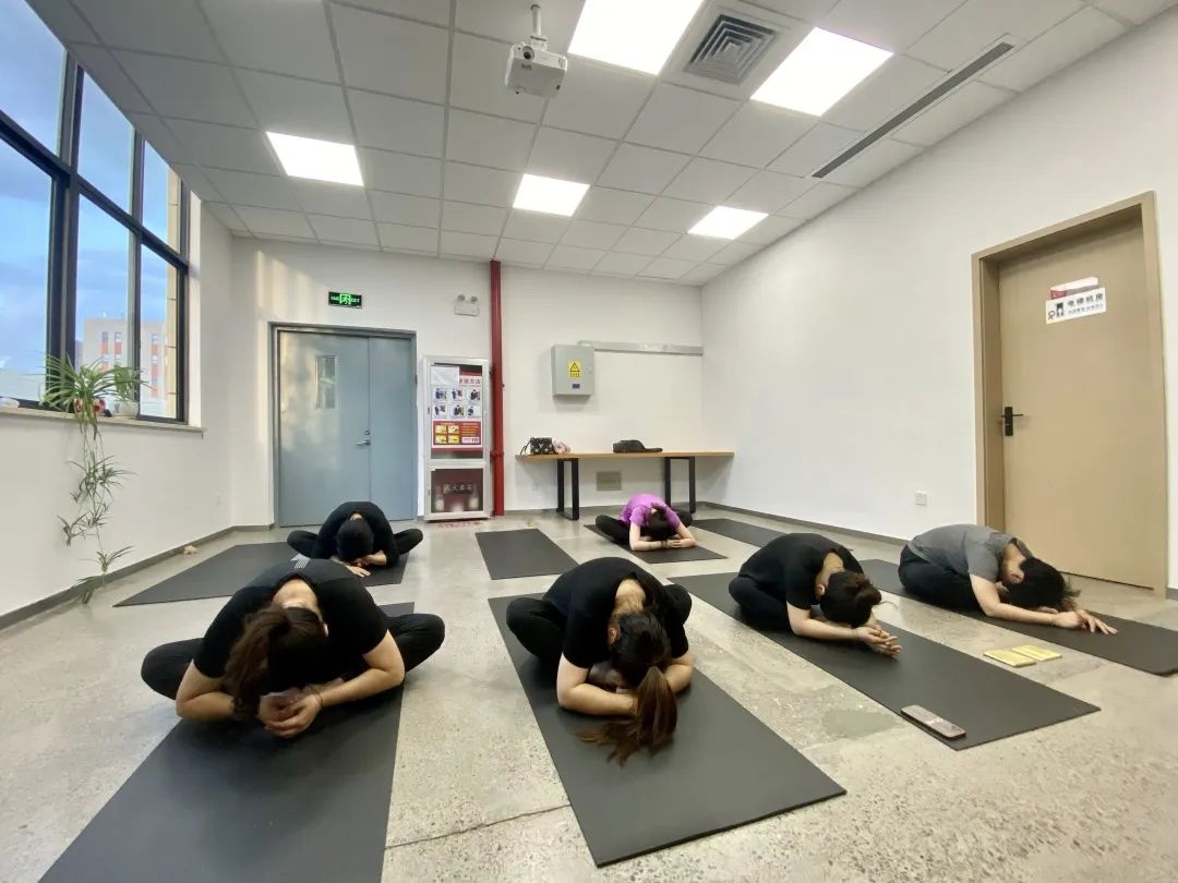 夏日炎炎， 中泰“瑜”你攜手同行